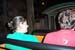 DCP_2919