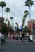 DCP_3036
