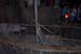 DCP_3298