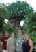 Disney 7