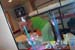 DCP_3922